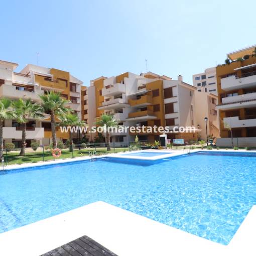 Apartment - Resale - Punta Prima - R11500