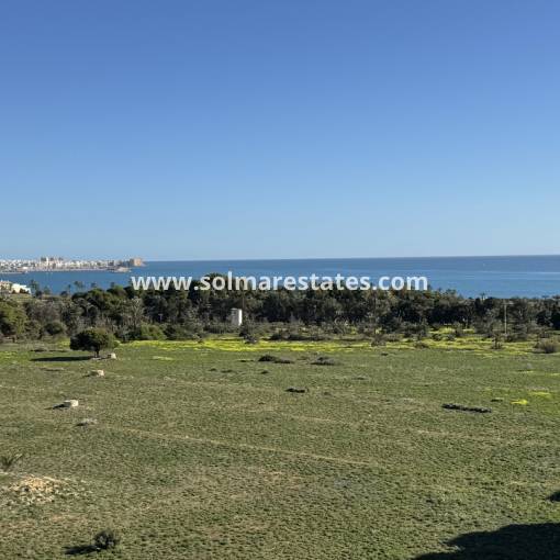 Apartment - Resale - Punta Prima - Rocio del Mar