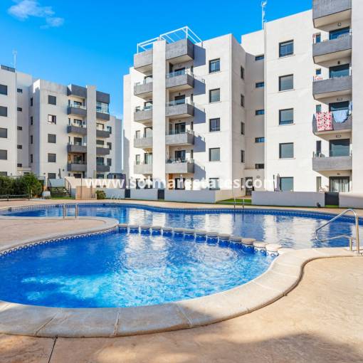 Apartment - Resale - San Miguel De Salinas - San Miguel De Salinas