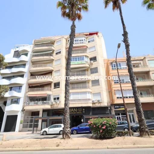 Apartment - Resale - Torrevieja - Beachside Torrevieja