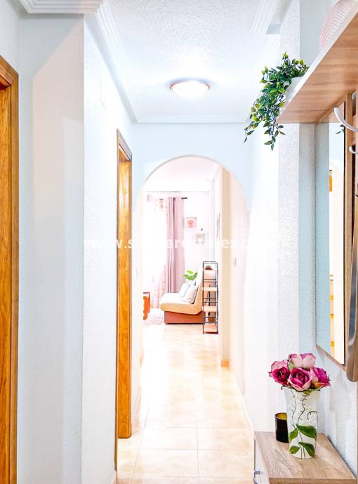 Apartment - Resale - Torrevieja - Parque del Naciones