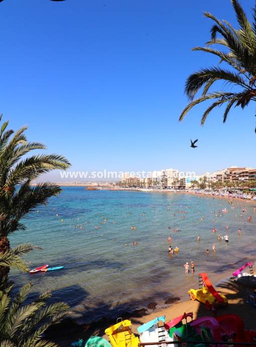 Apartment - Resale - Torrevieja - Playa del Cura