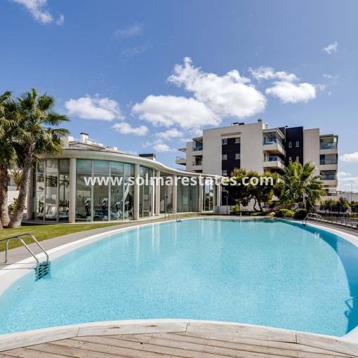 Apartment - Resale - Villamartin - Los Dolses