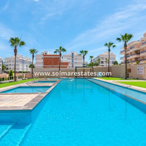 Apartment - Resale - Villamartin - Los Dolses