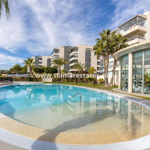 Apartment - Resale - Villamartin - Los Dolses