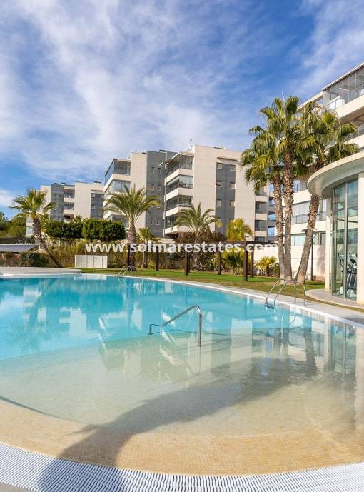 Apartment - Resale - Villamartin - Los Dolses