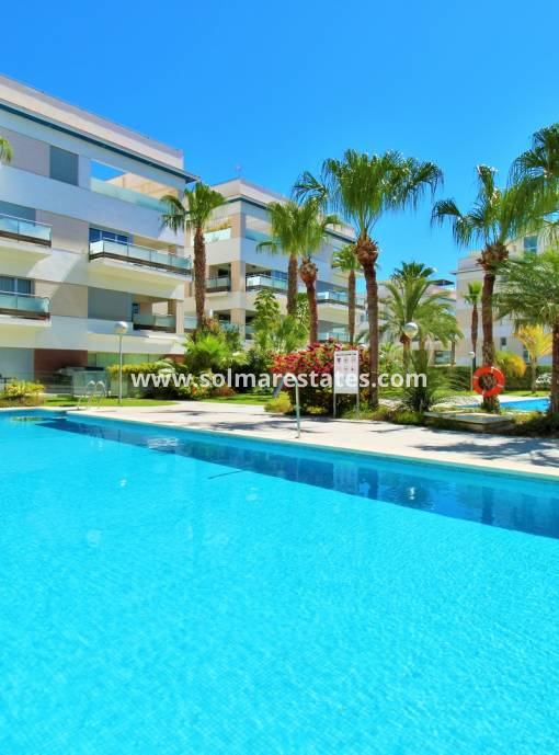 Apartment - Resale - Villamartin - Los Dolses
