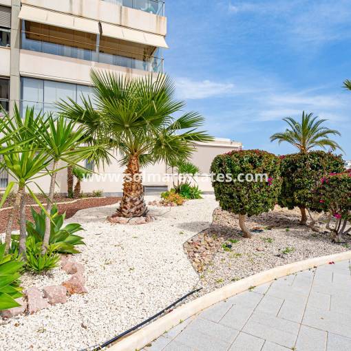 Apartment - Resale - Villamartin - Los Dolses