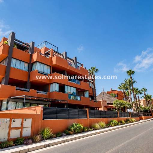 Apartment - Resale - Villamartin - Res. Palapa Golf