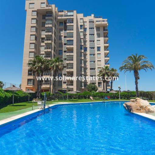 Appartement - Resale - Guardamar Del Segura - R-56318