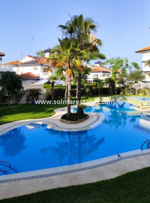 Appartement - Resale - La Mata - Beachside La Mata