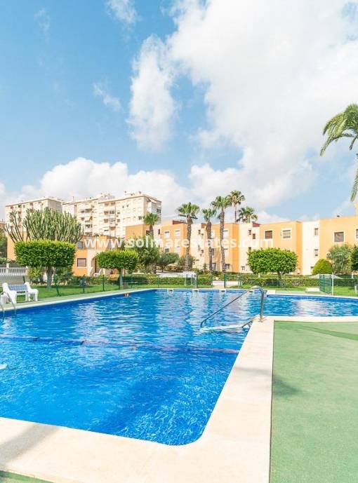 Appartement - Resale - La Mata - Torre Blanca