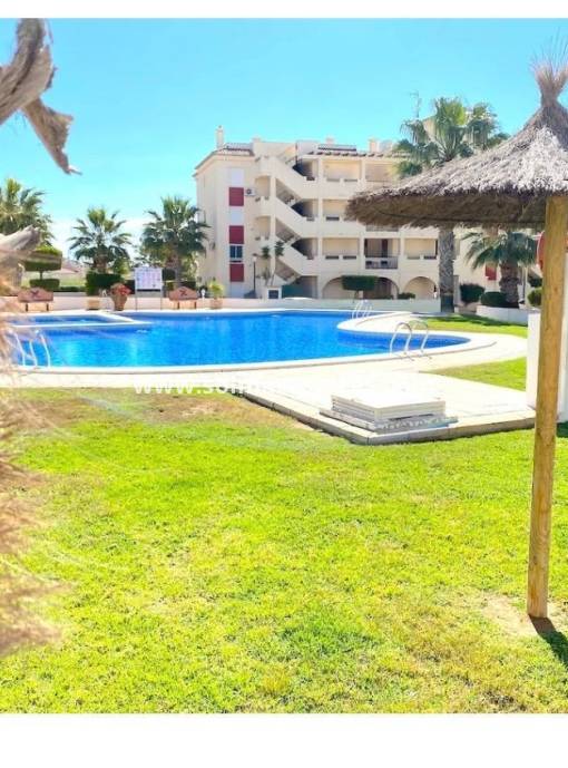 Appartement - Resale - Playa Flamenca - Jumilla