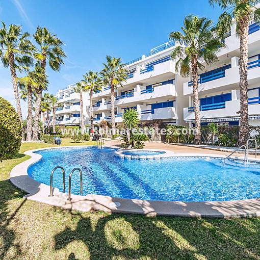 Appartement - Resale - Playa Flamenca - La Calma