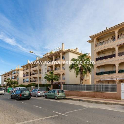 Appartement - Resale - Playa Flamenca - Laguna Golf
