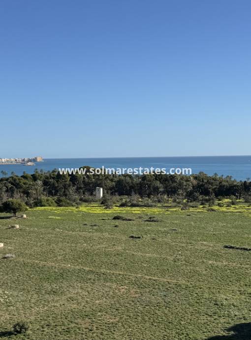 Appartement - Resale - Punta Prima - Rocio del Mar