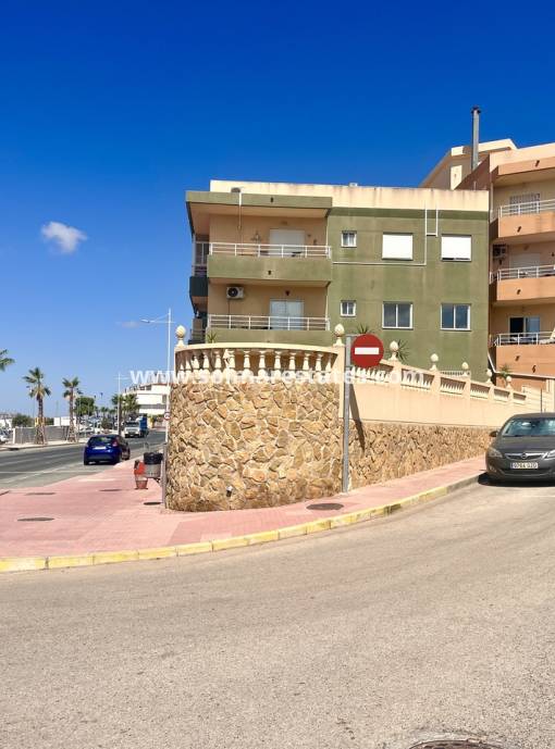Appartement - Resale - San Miguel De Salinas - San Miguel De Salinas