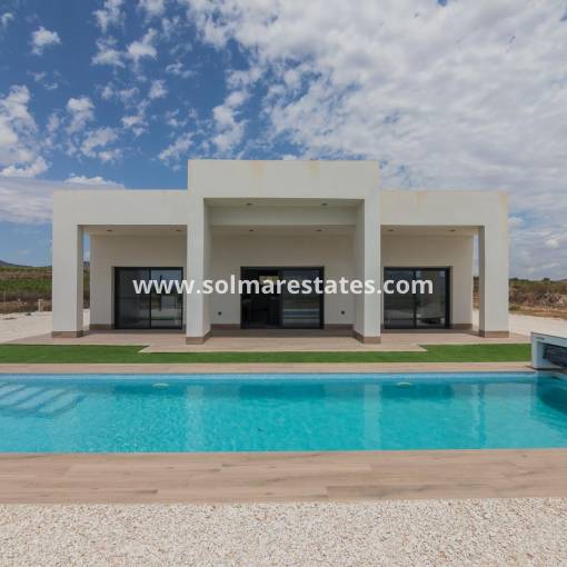Detached Villa - New Build - Pinoso - N-50065