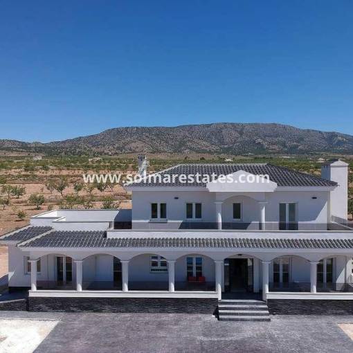 Detached Villa - New Build - Pinoso - Pinoso
