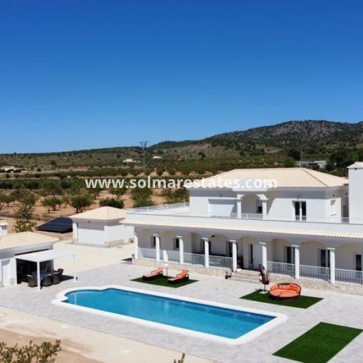 Freistehende Villa - Neubau - Pinoso - N-56033