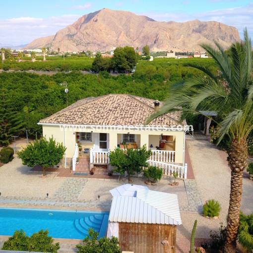 Freistehende Villa - Resale - Orihuela - La Campaneta