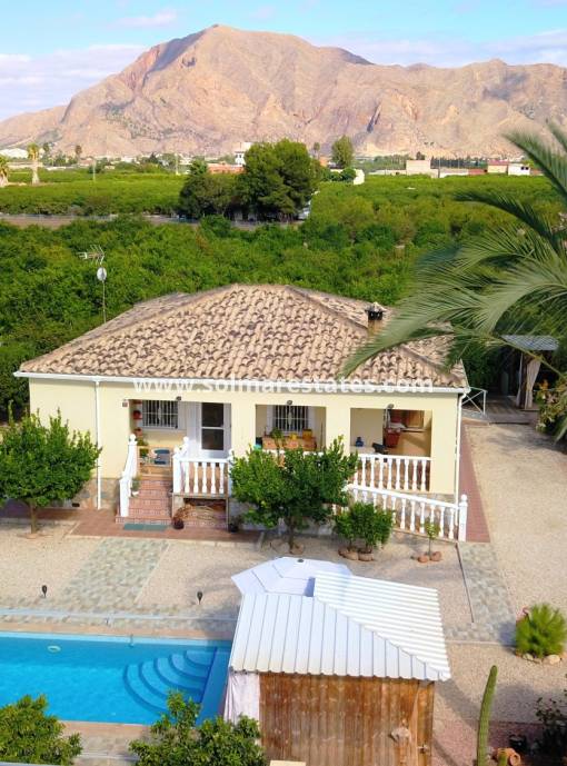 Freistehende Villa - Resale - Orihuela - La Campaneta