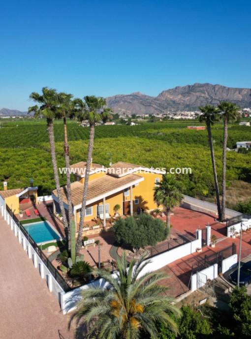 Freistehende Villa - Resale - Orihuela - Orihuela