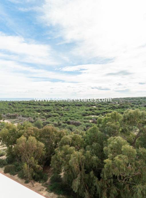 Lägenhet - Resale - Guardamar Del Segura - Puerto Marino