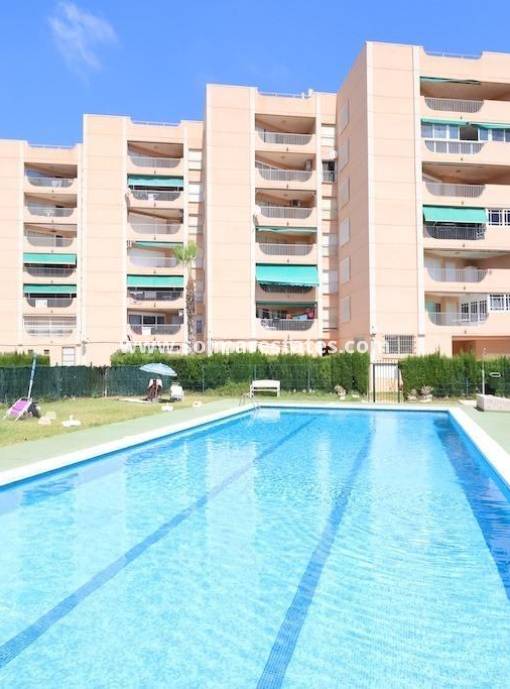 Lägenhet - Resale - La Zenia - Beachside La Zenia