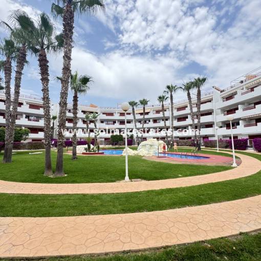 Lägenhet - Resale - Playa Flamenca - R-58838
