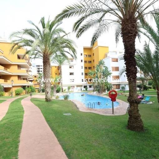 Lägenhet - Resale - Punta Prima - R-33984