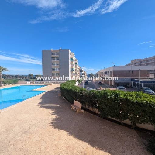 Lägenhet - Resale - Punta Prima - R-70854