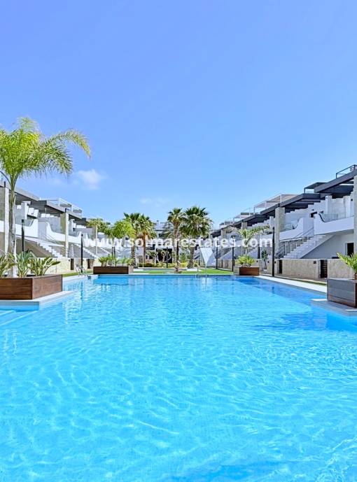 Lägenhet - Resale - Punta Prima - Res. Innova Beach