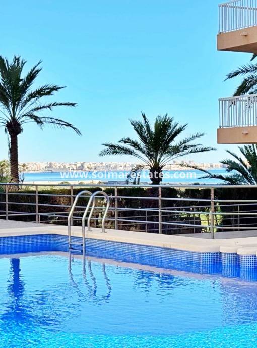 Lägenhet - Resale - Punta Prima - Rocio del Mar