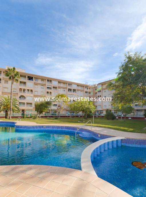 Lägenhet - Resale - Torrevieja - Beachside Torrevieja