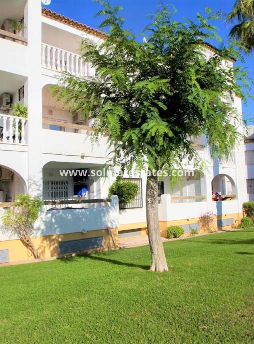 Lägenhet - Resale - Villamartin - Las Violetas