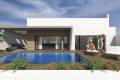 Neubau - Freistehende Villa - Torrevieja - Sector 25