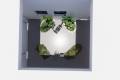 Neubau - Wohnung - Torrevieja - pueblo