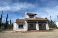 New Build - Detached Villa - Fuente Álamo - Las Palas