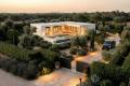 New Build - Detached Villa - Pinoso - Casas Pastor
