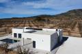 New Build - Detached Villa - Pinoso