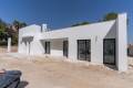 New Build - Detached Villa - Villamartin - Las Filipinas