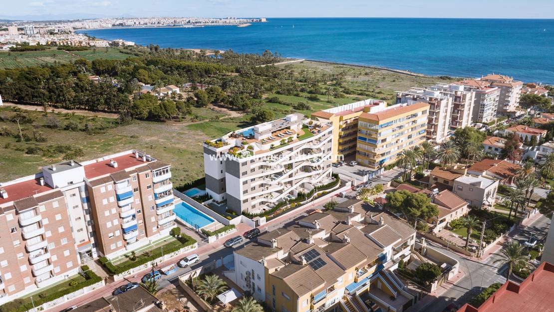 Nieuw gebouw - Appartement - Punta Prima - Res. Ocean Dream