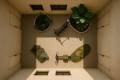 Nouvelle construction - Appartement - Torrevieja - pueblo