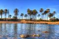 Nybyggnad - Lägenhet - Torrevieja - Playa de El Cura