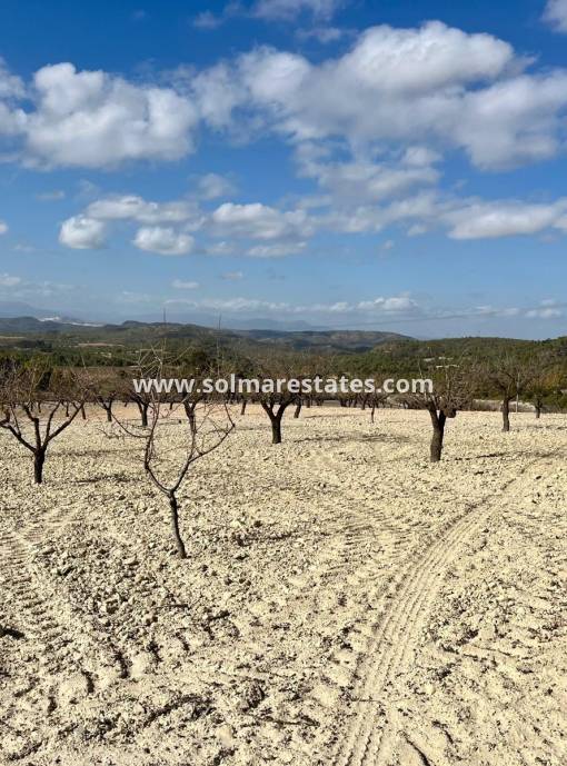 Plot - Resale - Bullas - Costa Calida
