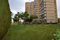 Resale - Apartment - Campoamor - Dehesa De Campoamor