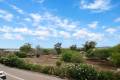 Resale - Apartment - Los Montesinos - Entre Naranjos