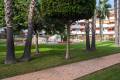 Resale - Apartment - Playa Flamenca - El Rincon