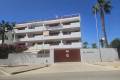 Resale - Apartment - Playa Flamenca - El Rincon